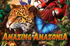 Amazing Amazonia