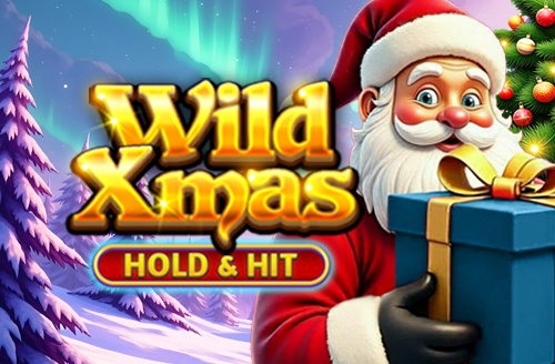 Wild Xmas - Hold & Hit
